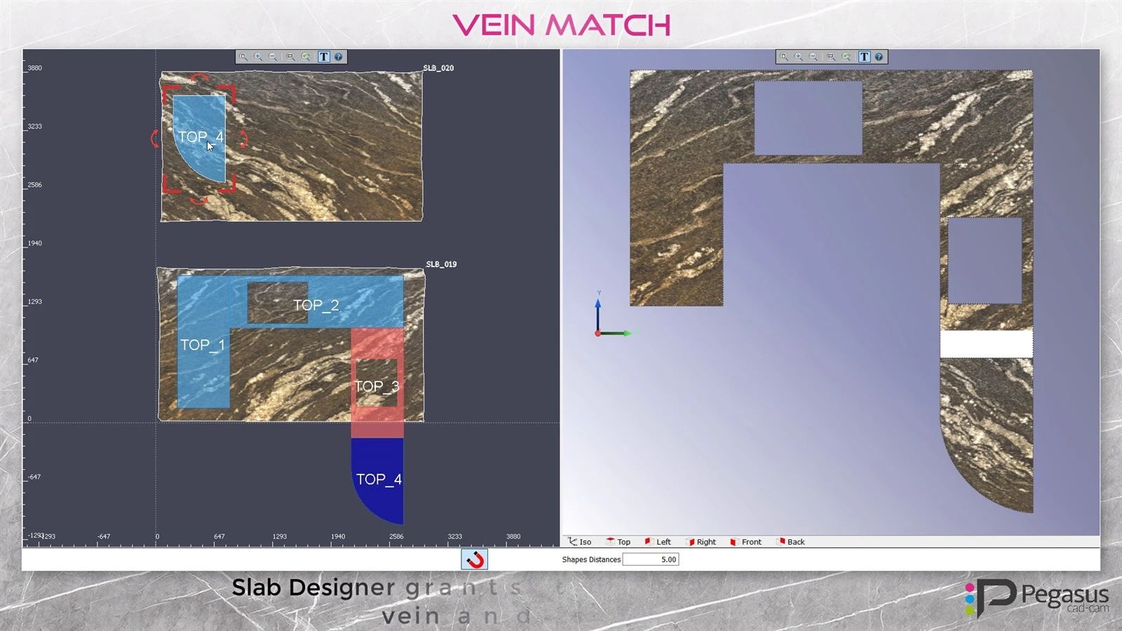 Optional Vein Matching Function Optional Vein Matching Function